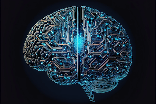 Causes of Brain Fog